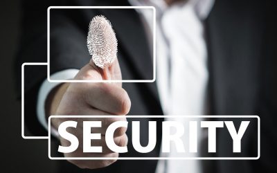 Quisque pulvinar sodales