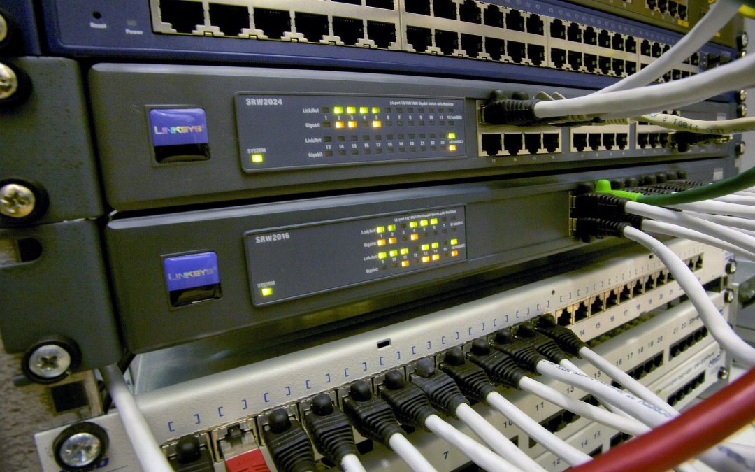 Aliquam orci neque consequat